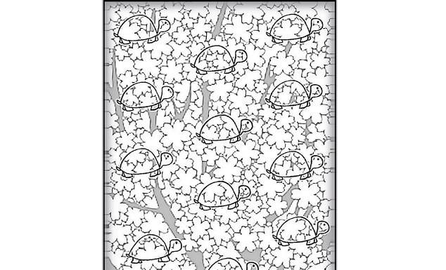 Existem 12 tartarugas no prado entre flores. Qual silhueta de tartaruga é diferente?