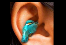 Teste de habilidades auditivas: Você consegue ouvir bem os outros?