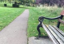 Você consegue encontrar o animal escondido na foto? você tem menos de 20 segundos para isso!