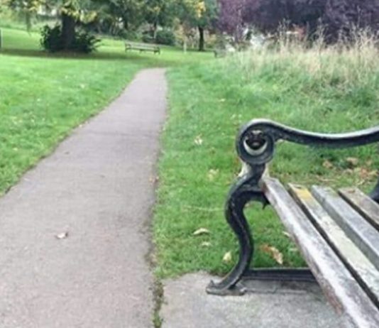 Você consegue encontrar o animal escondido na foto? você tem menos de 20 segundos para isso!