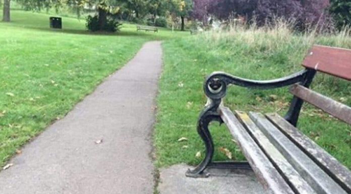 Você consegue encontrar o animal escondido na foto? você tem menos de 20 segundos para isso!