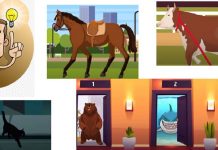 Animais e enigmas: 5 quebra-cabeças para resolver em 10 segundos.