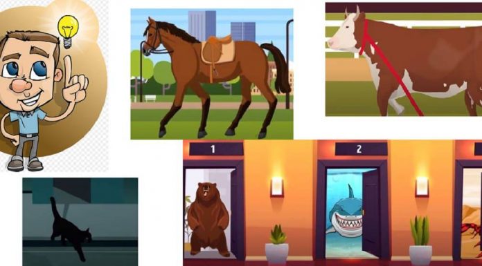 Animais e enigmas: 5 quebra-cabeças para resolver em 10 segundos.