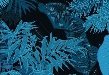 E o tigre não conta: você consegue encontrar os seis animais e uma maçã?