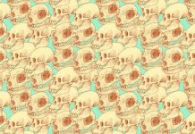 Encontre os crânios humanos na imagem no menor tempo possível e teste sua agilidade mental