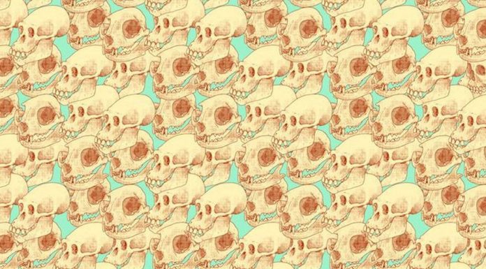 Encontre os crânios humanos na imagem no menor tempo possível e teste sua agilidade mental