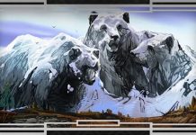 Diga-me qual é a primeira coisa que você vê na foto? São 11 testes de psicologia visual