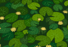 Desafio viral: encontre cinco animais camuflados na lagoa.