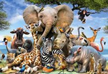 Teste psicológico: Descubra como os outros o veem e como você realmente é.