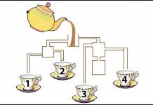 Apenas 1 em cada 4 pessoas respondeu corretamente! Qual copo será enchido primeiro?