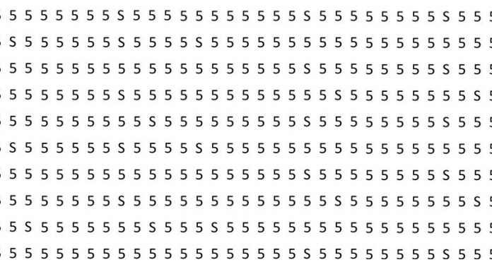 Enigma Visual: Existem vários “S’s” escondidos nesta imagem. Quantos você consegue localizar?