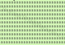 Teste sua visão e foco com este teste simples. Você consegue encontrar um intruso entre todas as letras “B”?