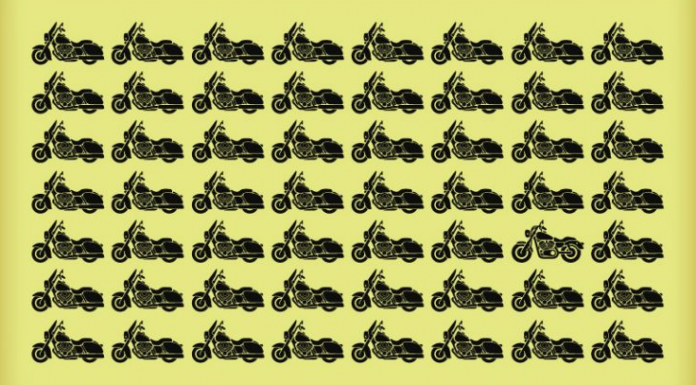 Encontre o “inusitado”! Você será capaz de encontrar em menos de 5 segundos?