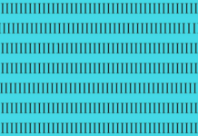 Quanto tempo você levará para encontrar um INTRUSO? Faça uma tentativa.