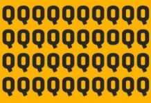 95% das pessoas não conseguem passar os 8 Níveis desse teste em 60 segundos.