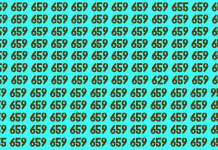 Encontre outros números além de 659 em 20 segundos. ⏱ Verifique sua atenção