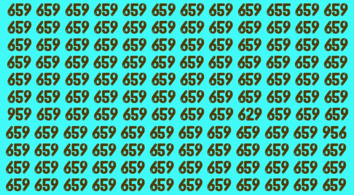 Encontre outros números além de 659 em 20 segundos. ⏱ Verifique sua atenção