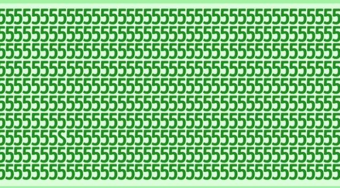 A letra ‘S’ está escondida entre os números ‘5’. És capaz de localizar?