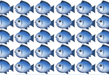 Apenas 1 em 50 pessoas podem identificar o estranho em menos de 05 segundos. E você?