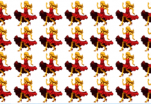 Quão nítida é a sua percepção visual? Você pode encontrar o “estranho” nesta foto?