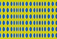 15 ilusões de ótica que colocarão sua mente à prova. Teste-se!