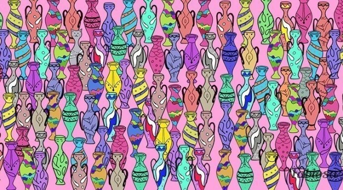 Teste visual difícil: encontre um “amigo” entre os vasos.