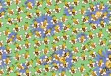 Desafio visual: encontre o impostor na multidão de abelhas.