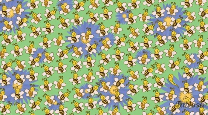 Desafio visual: encontre o impostor na multidão de abelhas.