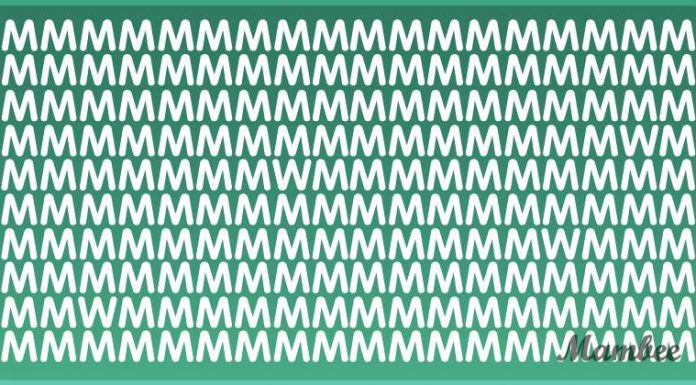 Esta tarefa é para os mais atentos! Quantos “W” você consegue encontrar na foto?