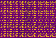 Desafio visual: 30 segundos para encontrar todas as palavras que diferem da palavra “SETA”.