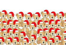 Desafio de Natal: você consegue encontrar o urso sem chapéu em menos de 20 segundos?