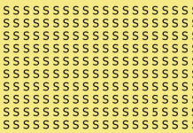 Você vê o que está escondido nessa foto? Apenas 5% das pessoas encontram!