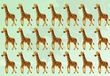 Apenas duas girafas são diferentes do resto. Você pode encontrá-las?