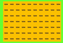 Você consegue encontrar todos os números que diferem de “1234” na imagem?