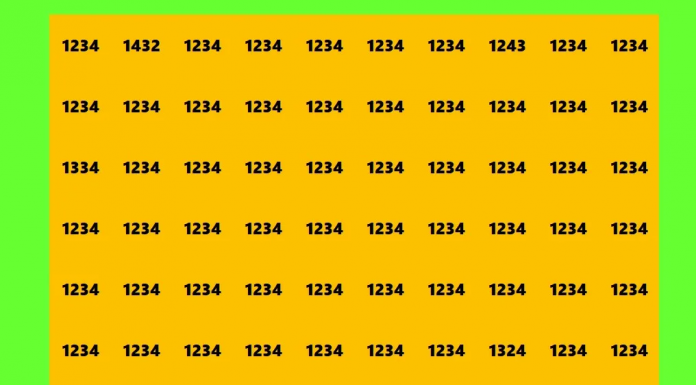 Você consegue encontrar todos os números que diferem de “1234” na imagem?