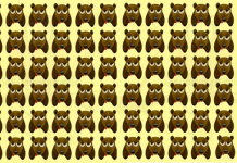 Vamos começar com facilidade: você consegue encontrar o intruso em 3 segundos?