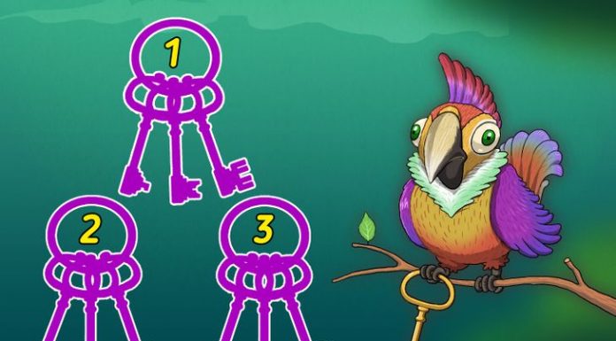 Teste: 10 quebra-cabeças visuais que apenas os mais observadores podem resolver.