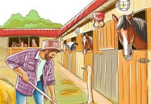 Bela fazenda de galinhas, mas há quatro falhas, então tente encontrá-las!