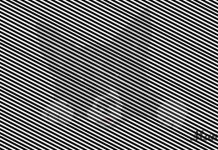 Não é fácil: alguém está escondido na foto, mas nem todo mundo pode realmente ver.