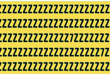 Desafio viral: Encontre o INTRUSO rapidamente! Você tem apenas 05 segundos! És capaz?