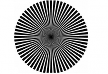 Olhe a foto. Que cor você vê? Aprenda que tipo de gênio você tem.