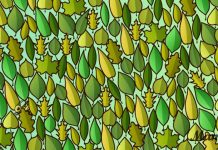 Há um gafanhoto sentado entre as folhas. Quão rápido você pode encontrar?