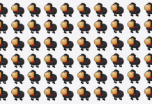 Teste de atenção para quem diz nunca perder detalhes