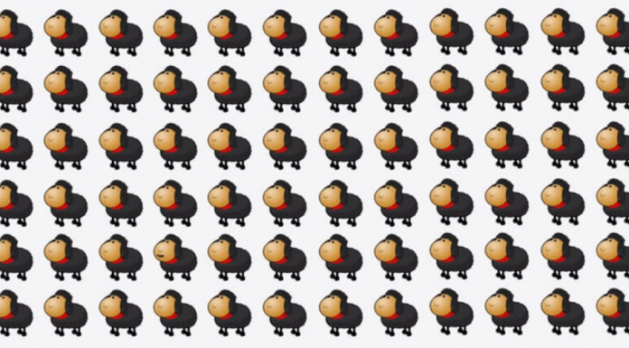 Teste de atenção para quem diz nunca perder detalhes