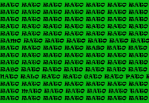 Teste de atenção e vigilância: Encontre palavras trocando apenas 1 letra  na palavra “RATO”.