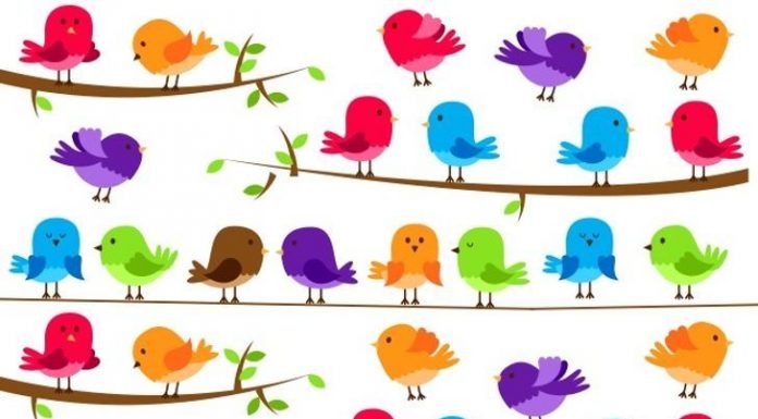 Desafio: Você pode encontrar objetos escondidos nestes 7 testes de personalidade?