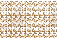 Teste sua percepção e foco: Você pode encontrar o intruso em menos de 10 segundos?