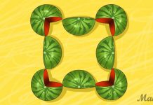 Quantas melancias tem na foto? Este quebra-cabeça pode identificar o lado dominante do seu cérebro.