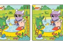 Teste: você consegue encontrar as 14 diferenças entre as imagens?