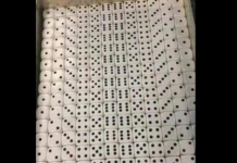 Você consegue encontrar o erro na foto? O desafio viral que testa sua visão.